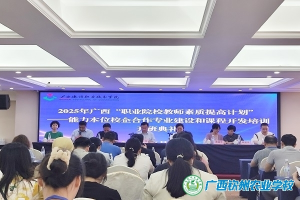УǸɽʦμ2025ְҵԺУʦ߼ƻѵ
